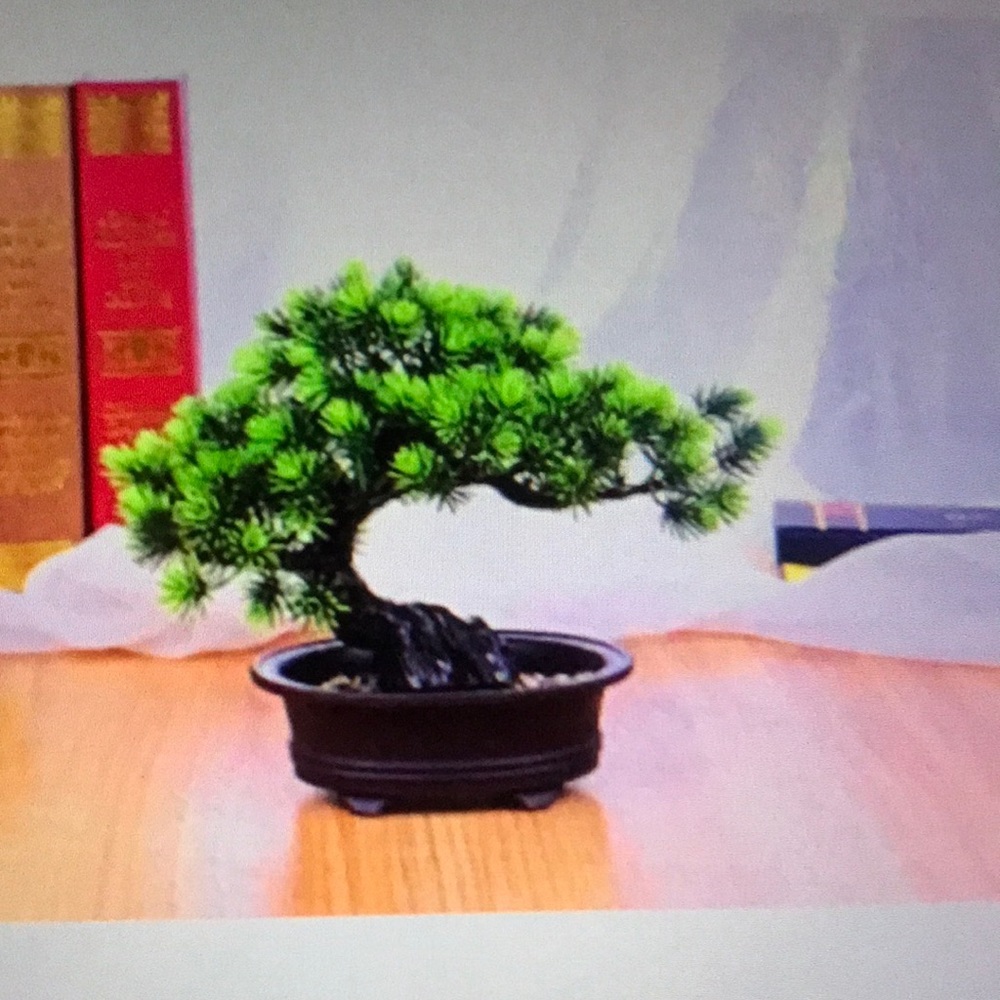 Bonsai looks almost real NWT - Picture 3 of 4